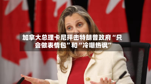 加拿大总理卡尼抨击特朗普政府“只会做表情包”和“冷嘲热讽”-第1张图片