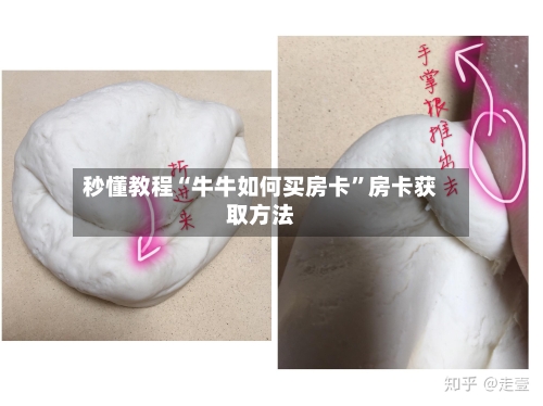 秒懂教程“牛牛如何买房卡”房卡获取方法-第2张图片