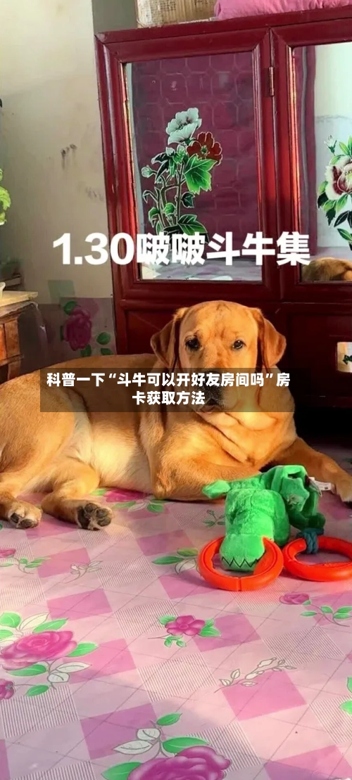 科普一下“斗牛可以开好友房间吗”房卡获取方法-第2张图片