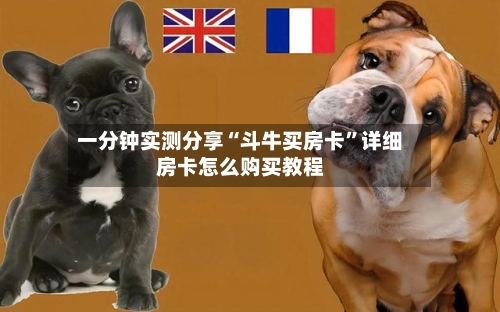 一分钟实测分享“斗牛买房卡”详细房卡怎么购买教程-第2张图片