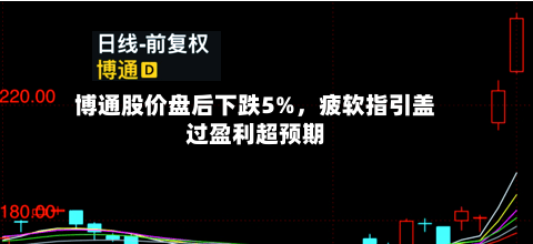 博通股价盘后下跌5%，疲软指引盖过盈利超预期-第2张图片