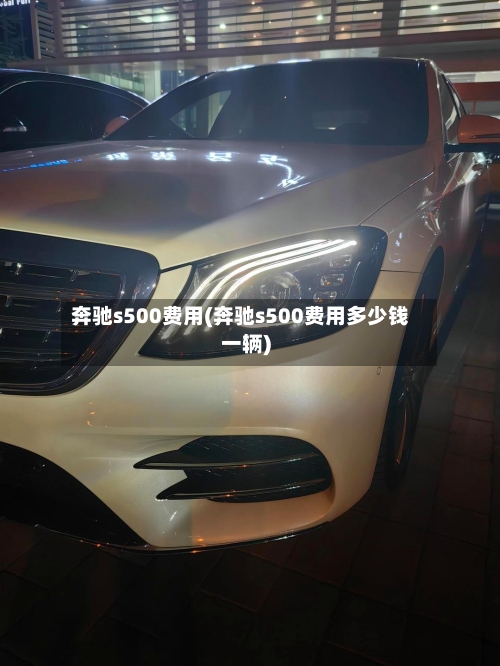 奔驰s500费用(奔驰s500费用多少钱一辆)