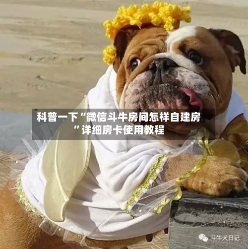科普一下“微信斗牛房间怎样自建房	”详细房卡使用教程-第2张图片