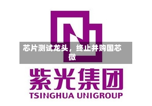 芯片测试龙头，终止并购国芯微-第3张图片