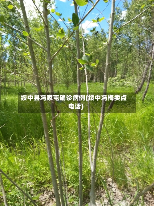 绥中县冯家屯确诊病例(绥中冯梅卖点电话)