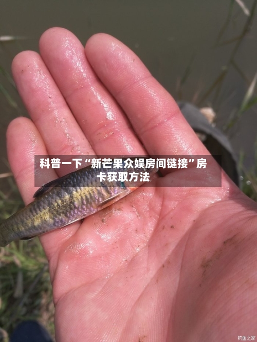 科普一下“新芒果众娱房间链接”房卡获取方法-第3张图片
