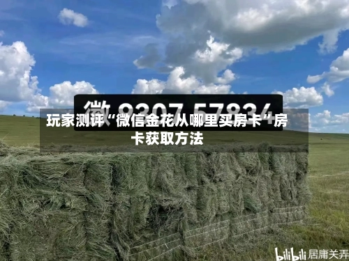 玩家测评“微信金花从哪里买房卡	”房卡获取方法-第2张图片