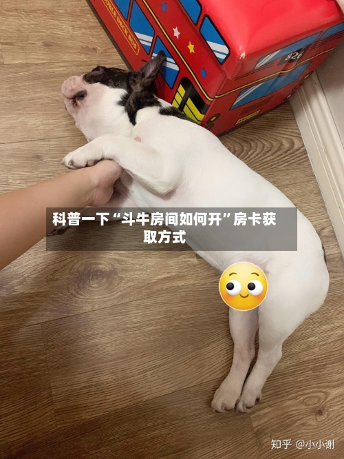 科普一下“斗牛房间如何开”房卡获取方式-第2张图片