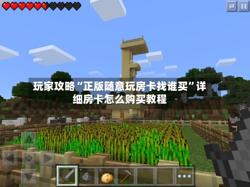 玩家攻略“正版随意玩房卡找谁买”详细房卡怎么购买教程-第3张图片