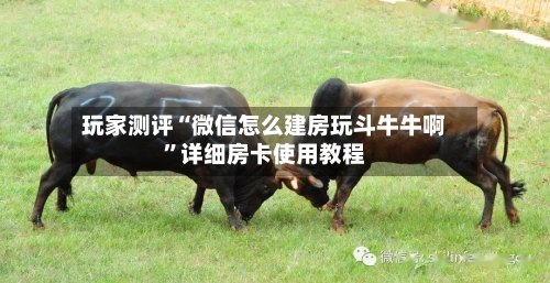 玩家测评“微信怎么建房玩斗牛牛啊	”详细房卡使用教程-第3张图片
