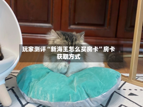 玩家测评“新海王怎么买房卡”房卡获取方式-第2张图片
