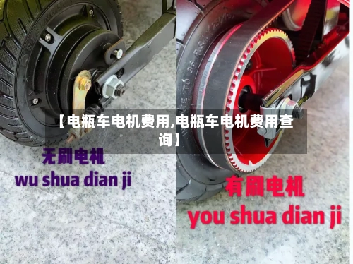 【电瓶车电机费用,电瓶车电机费用查询】-第2张图片