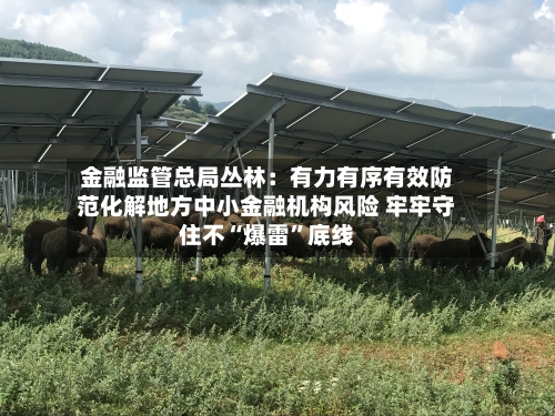 金融监管总局丛林：有力有序有效防范化解地方中小金融机构风险 牢牢守住不“爆雷	”底线-第2张图片