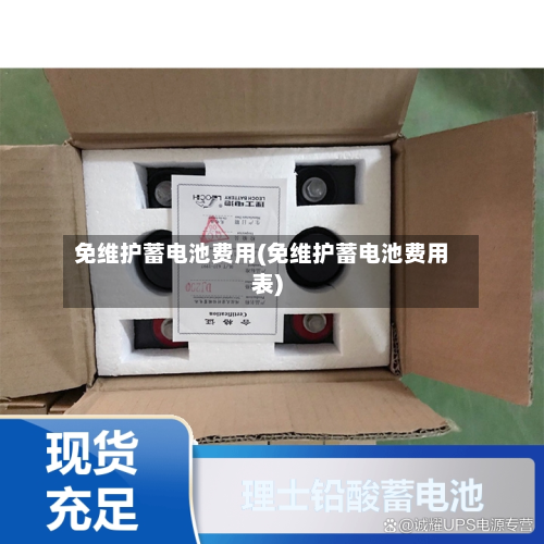 免维护蓄电池费用(免维护蓄电池费用表)-第2张图片