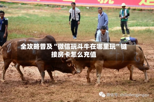 全攻略普及“微信玩斗牛在哪里玩”链接房卡怎么充值-第3张图片