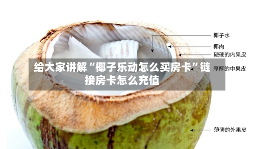 给大家讲解“椰子乐动怎么买房卡”链接房卡怎么充值-第2张图片