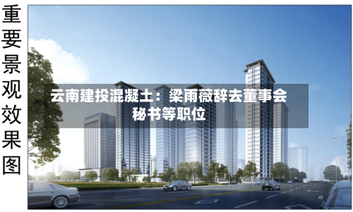 云南建投混凝土：梁雨薇辞去董事会秘书等职位-第2张图片