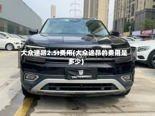 大众途昂2.5t费用(大众途昂的费用是多少)-第2张图片