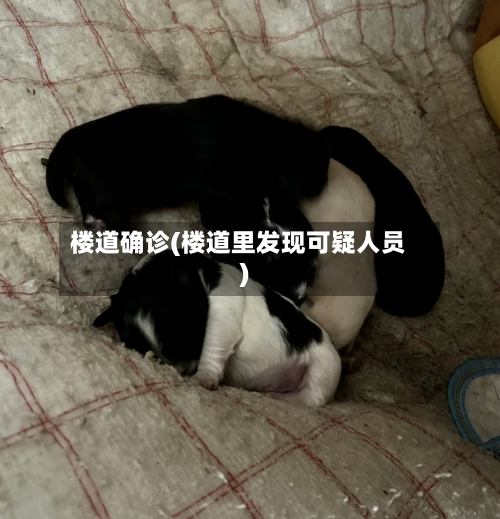 楼道确诊(楼道里发现可疑人员)