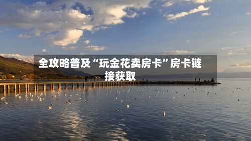 全攻略普及“玩金花卖房卡”房卡链接获取-第3张图片