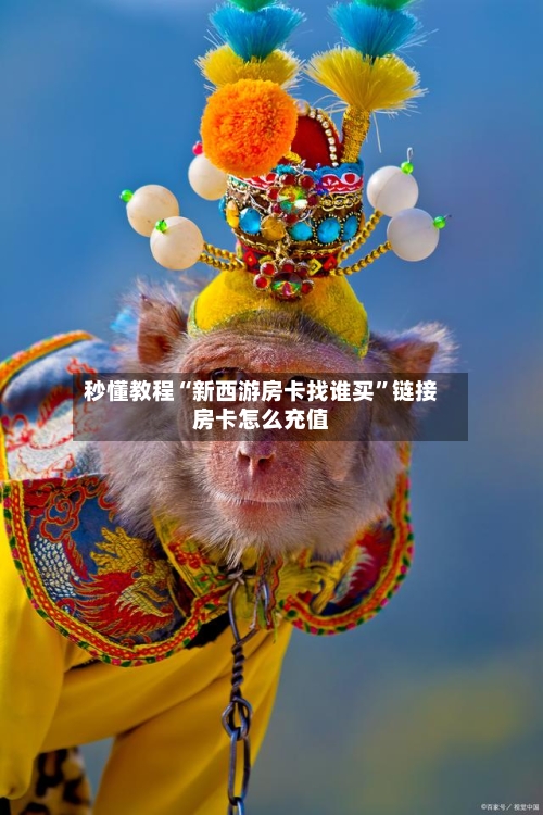 秒懂教程“新西游房卡找谁买”链接房卡怎么充值-第2张图片