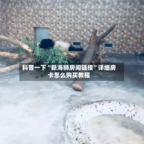 科普一下“新海狮房间链接”详细房卡怎么购买教程-第2张图片