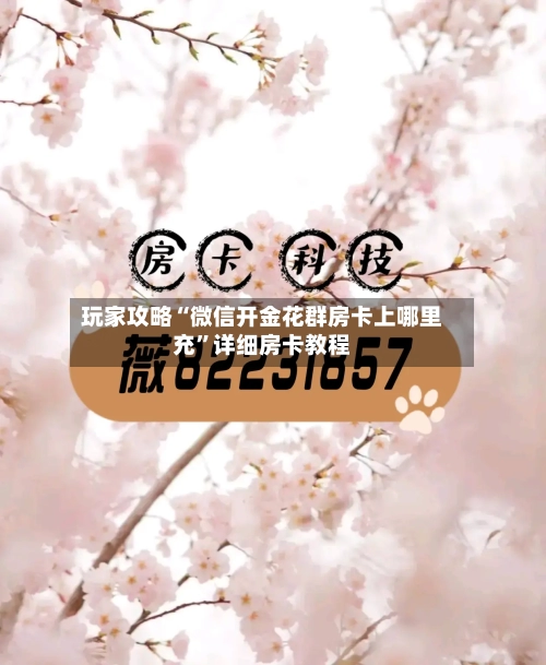 玩家攻略“微信开金花群房卡上哪里充”详细房卡教程-第2张图片