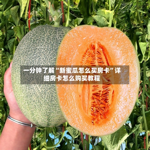 一分钟了解“新蜜瓜怎么买房卡”详细房卡怎么购买教程-第3张图片
