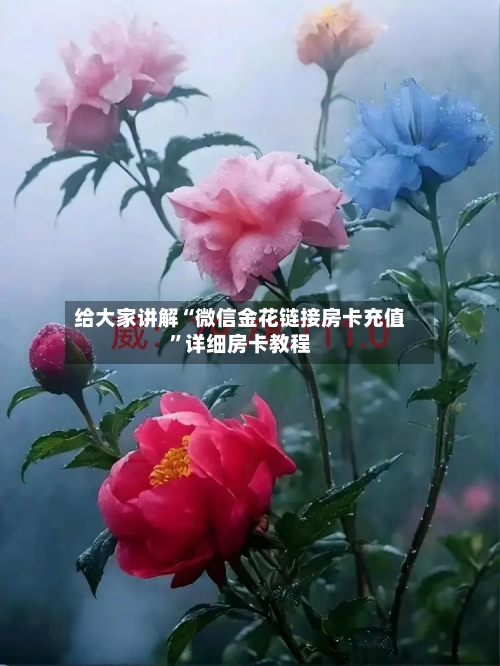 给大家讲解“微信金花链接房卡充值”详细房卡教程-第2张图片
