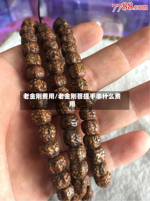 老金刚费用/老金刚菩提手串什么费用-第2张图片