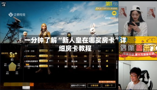 一分钟了解“新人皇在哪买房卡	”详细房卡教程-第2张图片