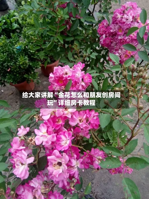 给大家讲解“金花怎么和朋友创房间玩”详细房卡教程-第2张图片