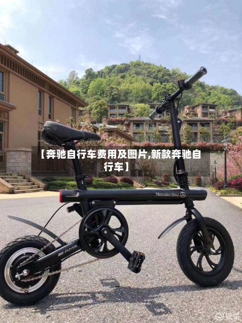 【奔驰自行车费用及图片,新款奔驰自行车】-第2张图片