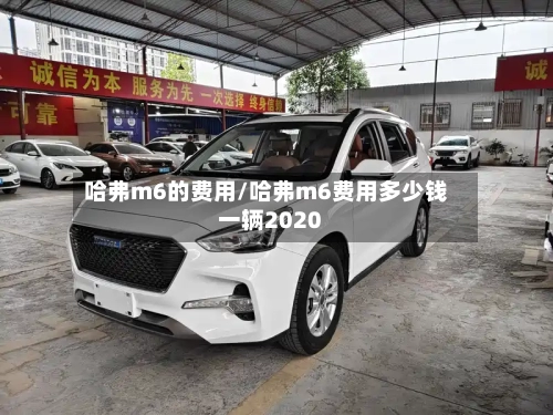 哈弗m6的费用/哈弗m6费用多少钱一辆2020-第2张图片