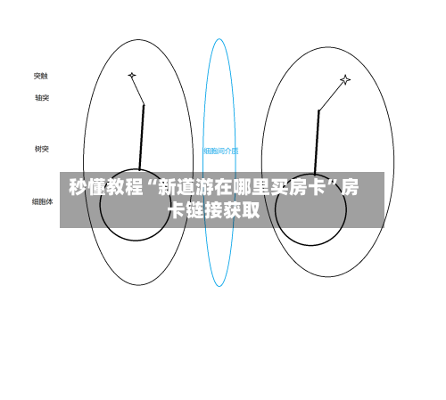 秒懂教程“新道游在哪里买房卡	”房卡链接获取-第2张图片
