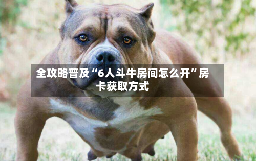全攻略普及“6人斗牛房间怎么开”房卡获取方式-第2张图片