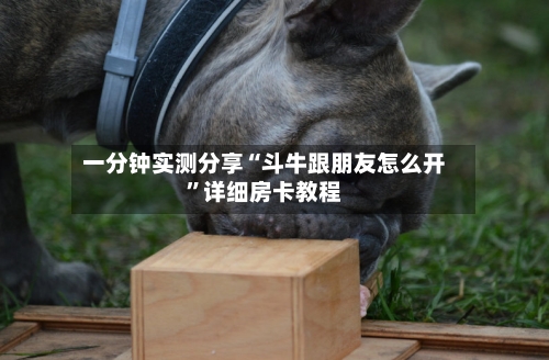 一分钟实测分享“斗牛跟朋友怎么开”详细房卡教程-第2张图片