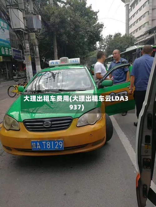 大理出租车费用(大理出租车云LDA3937)