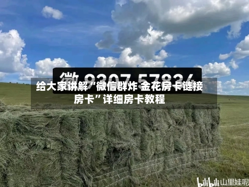 给大家讲解“微信群炸 金花房卡链接房卡”详细房卡教程-第2张图片