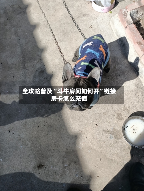 全攻略普及“斗牛房间如何开	”链接房卡怎么充值-第3张图片