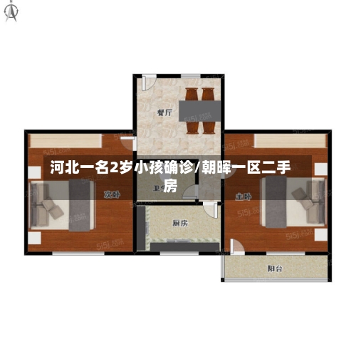 河北一名2岁小孩确诊/朝晖一区二手房