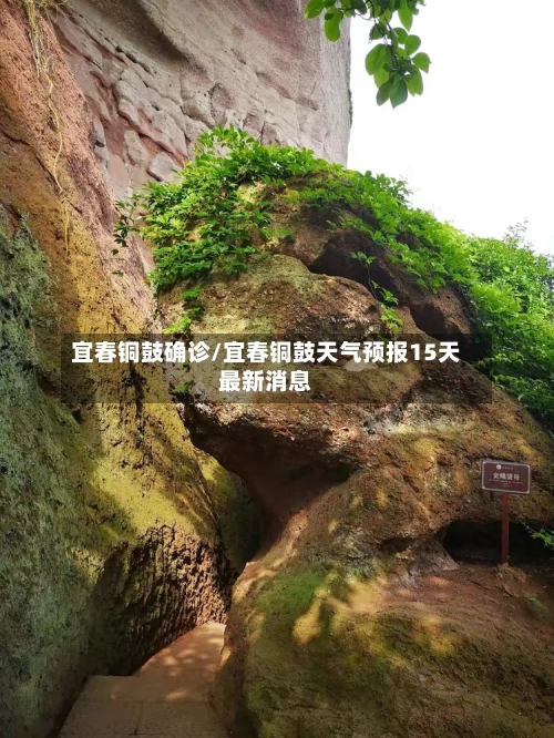 宜春铜鼓确诊/宜春铜鼓天气预报15天最新消息-第3张图片