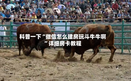 科普一下“微信怎么建房玩斗牛牛啊”详细房卡教程-第3张图片