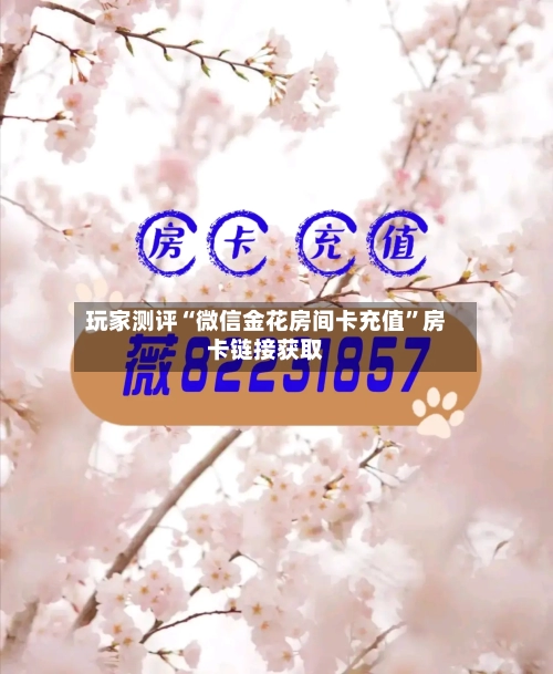 玩家测评“微信金花房间卡充值”房卡链接获取-第2张图片