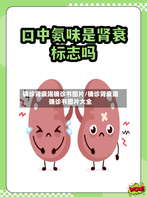确诊肾衰竭确诊书图片/确诊肾衰竭确诊书图片大全-第3张图片
