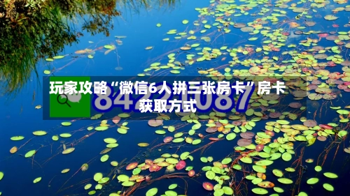 玩家攻略“微信6人拼三张房卡”房卡获取方式-第3张图片