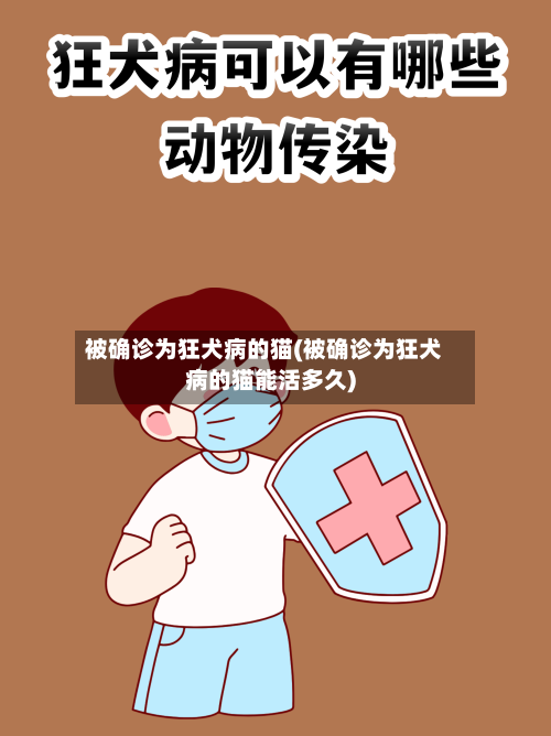 被确诊为狂犬病的猫(被确诊为狂犬病的猫能活多久)-第3张图片