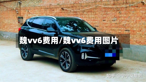 魏vv6费用/魏vv6费用图片-第3张图片