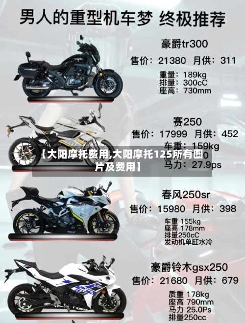 【大阳摩托费用,大阳摩托125所有图片及费用】