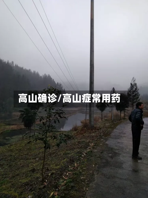高山确诊/高山症常用药